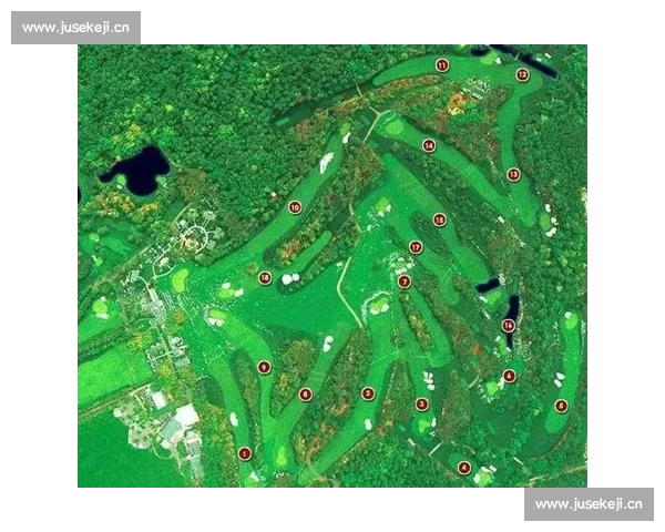 全球主要健美比赛类型盘点及国际赛事发展趋势深度解析全景综述