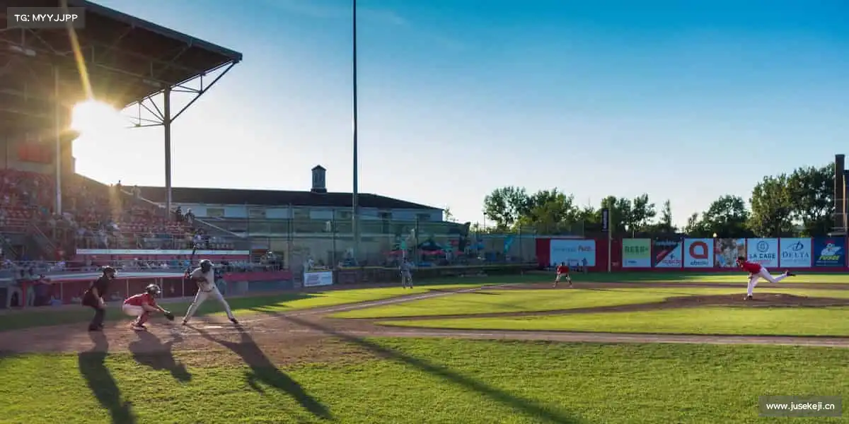 为什么选择我们